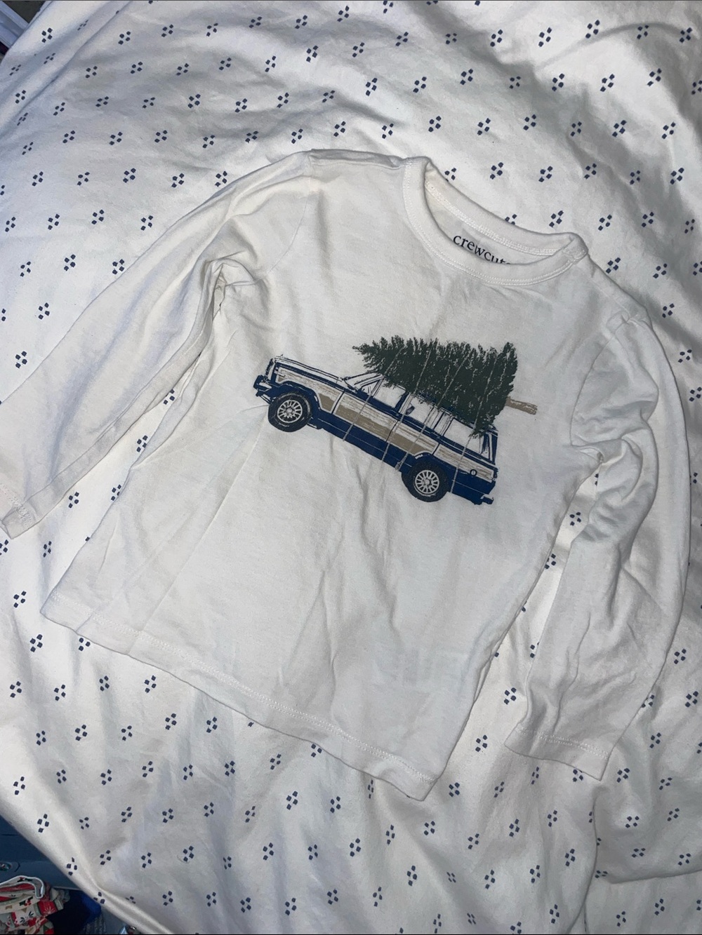 J Crew / Crewcuts Graphic T Shirt